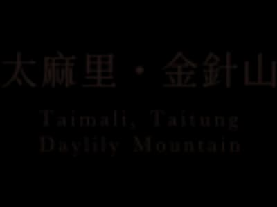 Navigate to Section 1